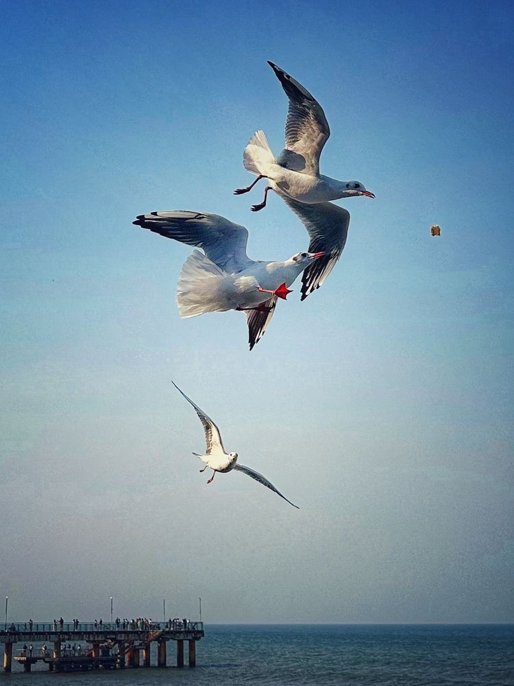 Photograph by Svetlana Tolkunova