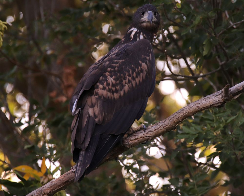 Photograph by Елена Врублевская