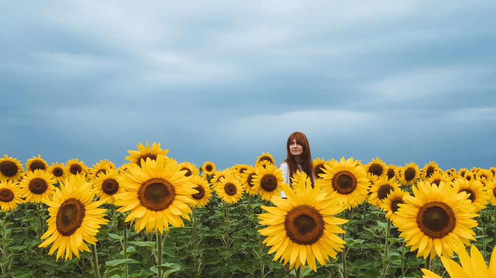 Photograph by Константин Пешков