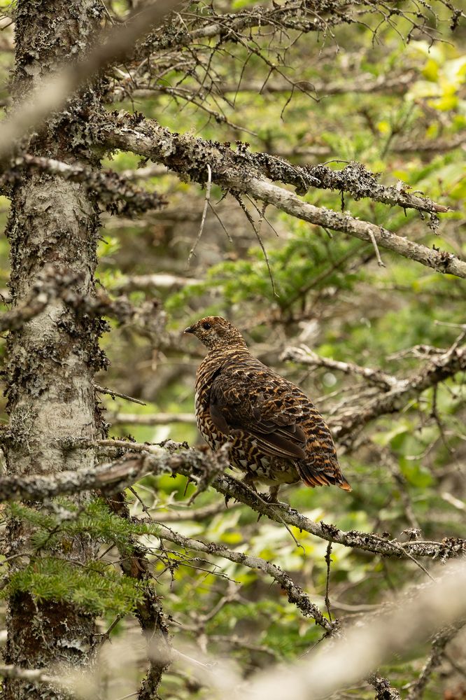 Photograph by Карина Онисенко