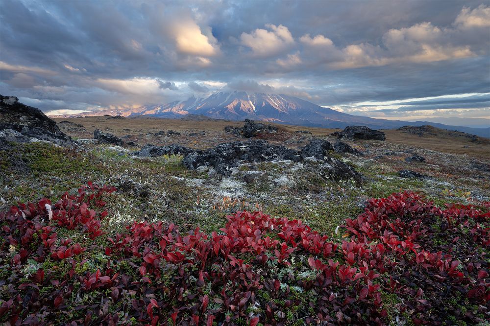 Photograph by Елена Вторушина
