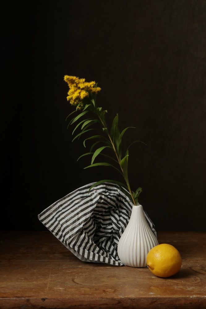 Photograph by Елена Коврижных