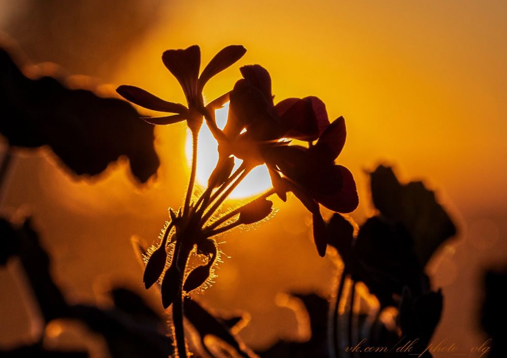 Фотография автора Дмитрий Кетов