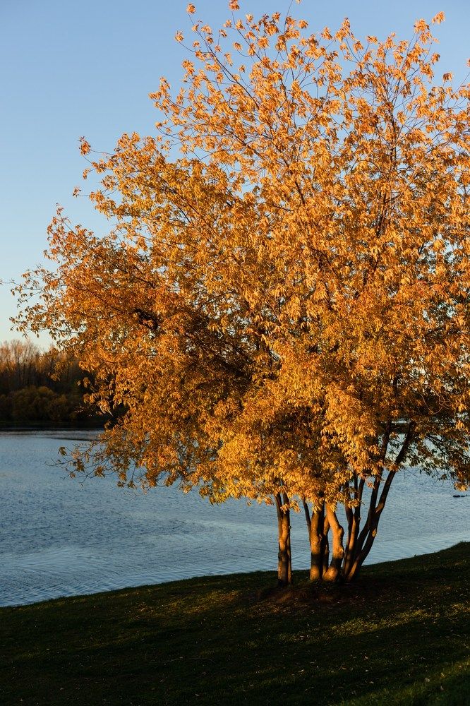 Photograph by Наталья Алина