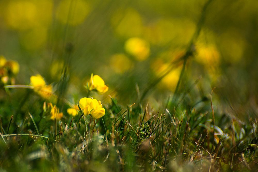 Фотография автора Aлексей Игнатьев