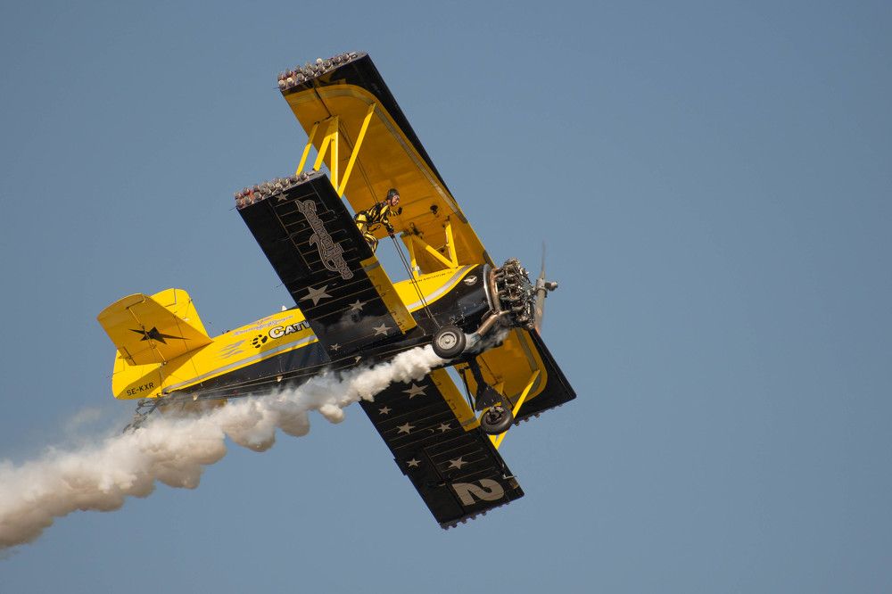 Фотография автора Aлексей Игнатьев