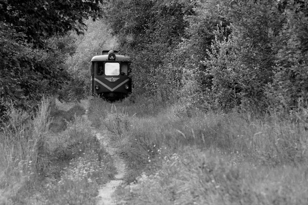 Photograph by DMITRIY DULIN