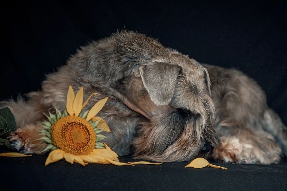 Photograph by Милана Бабченко