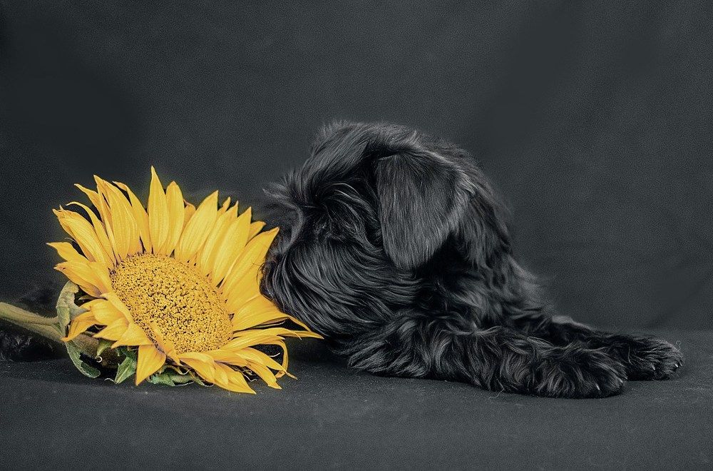 Photograph by Милана Бабченко