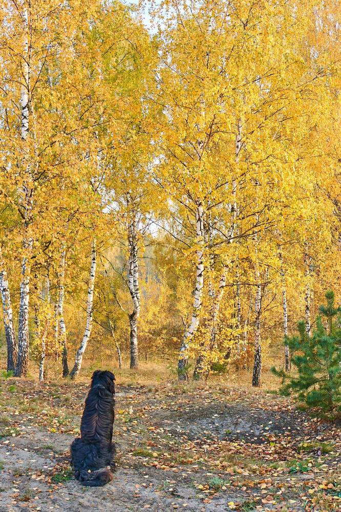 Photograph by Юрий Спасенников