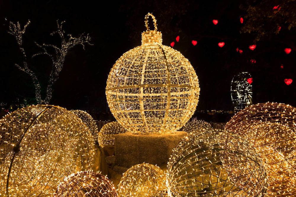 Photograph by Vania Tonova