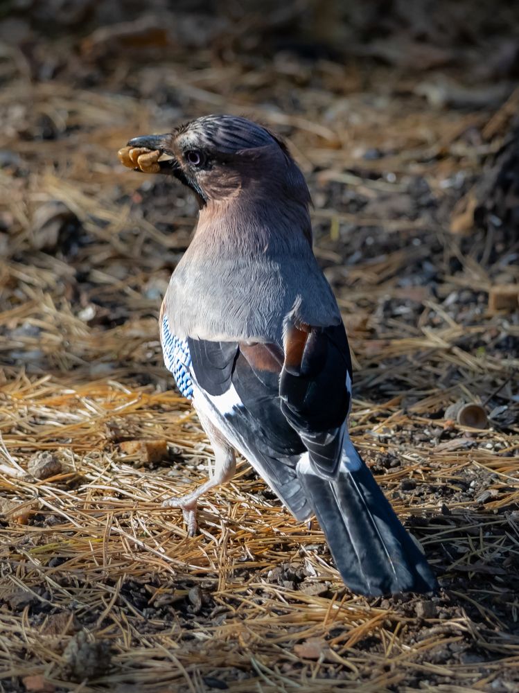 Photograph by Игорь Криулин