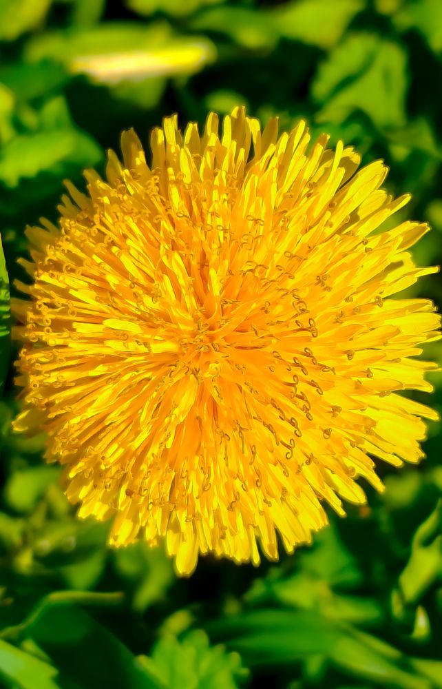 Photograph by Grădinaru Catalin