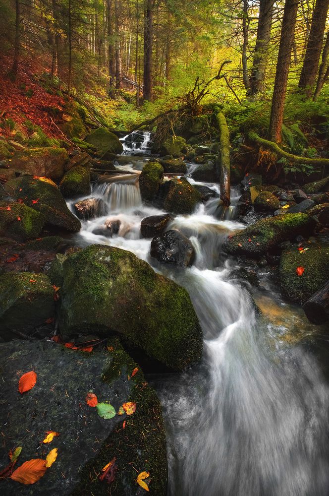 Photograph by Vania Tonova