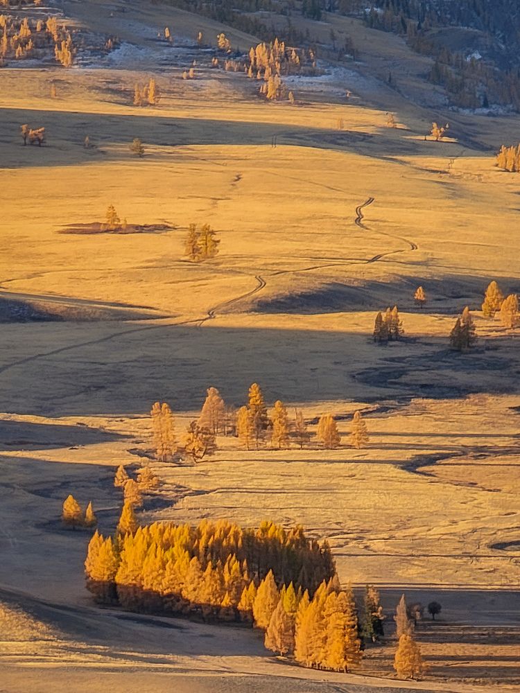 Photograph by Evgeny Pochaev