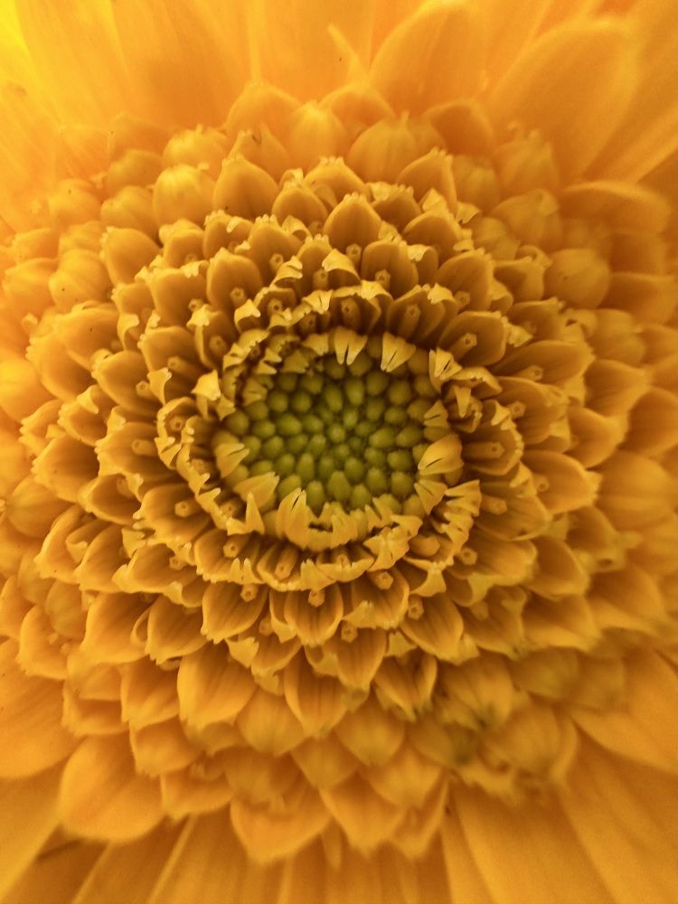 Photograph by Екатерина Козлова