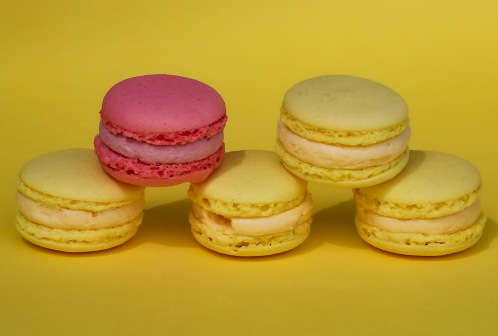 Photograph by Grădinaru Catalin