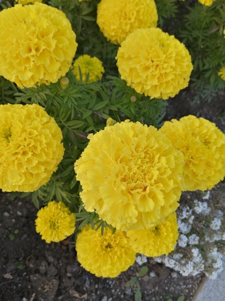 Photograph by Наталия