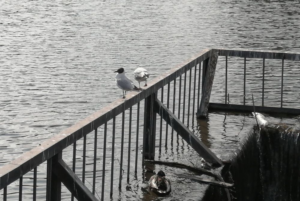 Photograph by Наталия