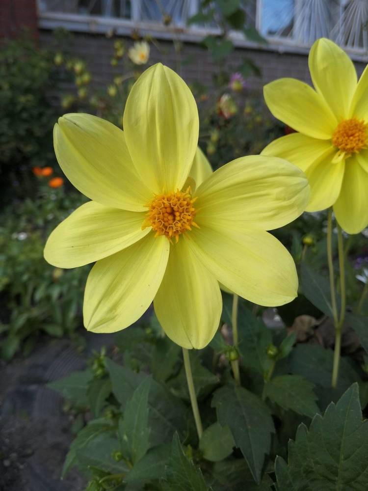 Photograph by Наталия