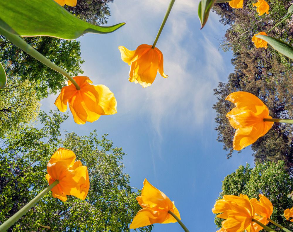 Photograph by Сергей Христинич