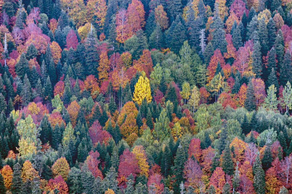 Photograph by Сергей Христинич