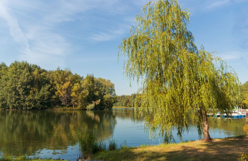 Photograph by Любовь Дворникова