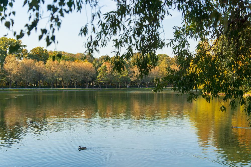 Photograph by Любовь Дворникова