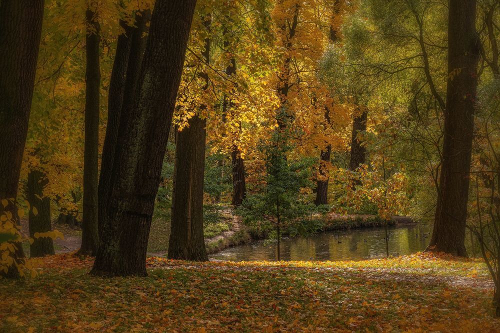 Photograph by Олег Зевиг