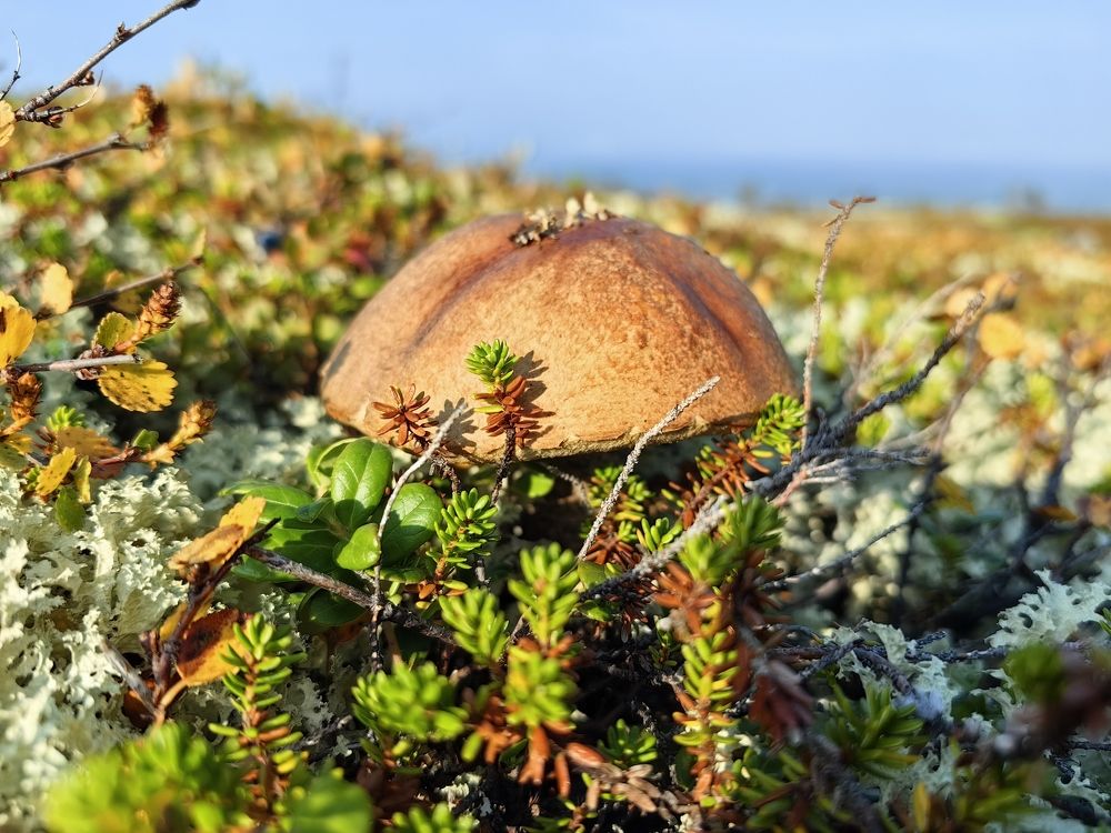 Photograph by Юлиан Щукин