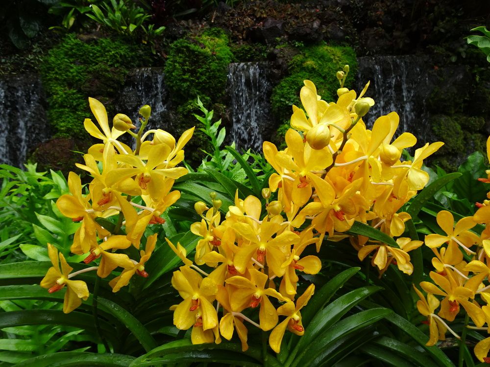 Photograph by Мила Милая