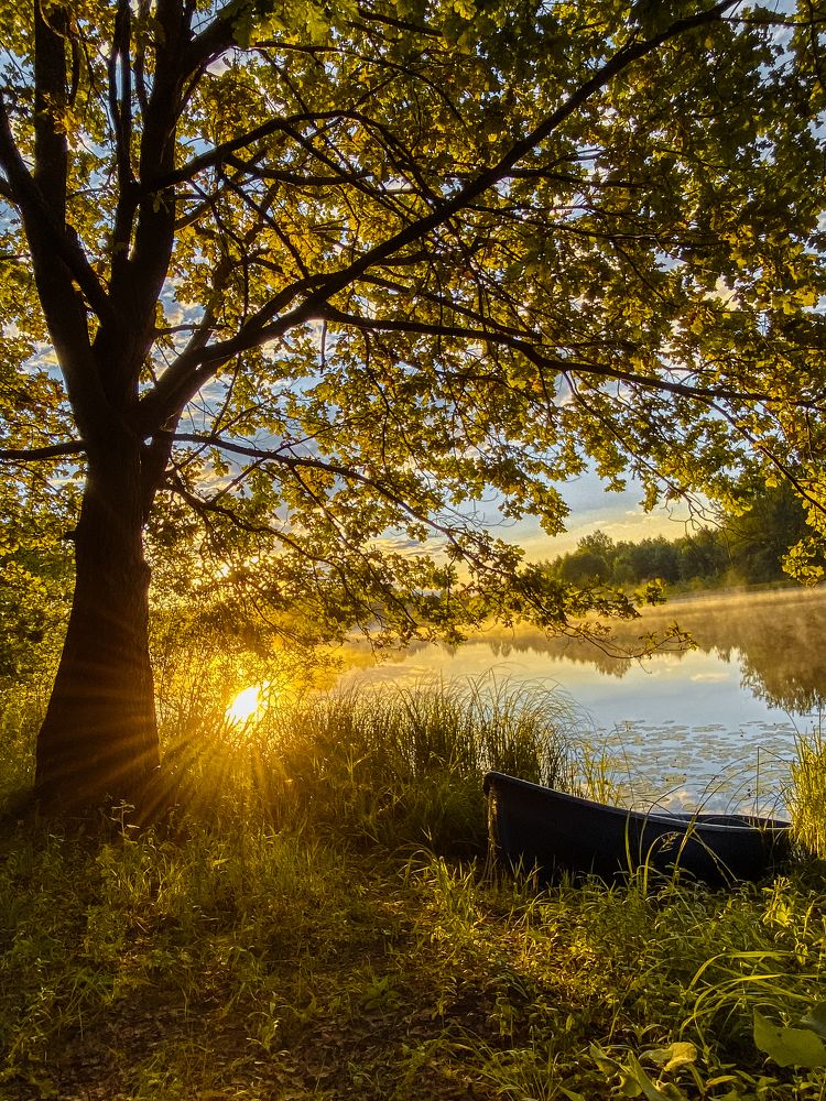 Photograph by Ольга Осинина