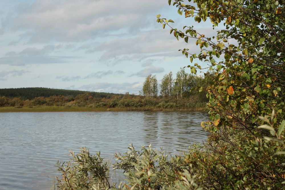 Photograph by Светлана Зотова