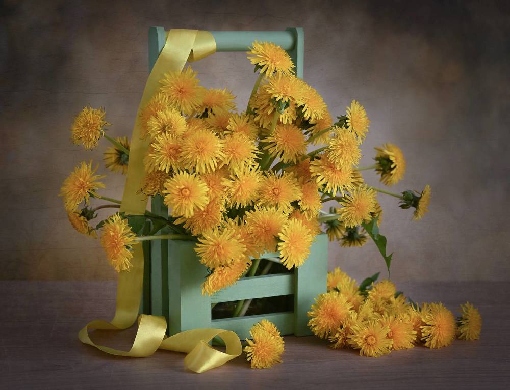 Photograph by Inna Ivanova