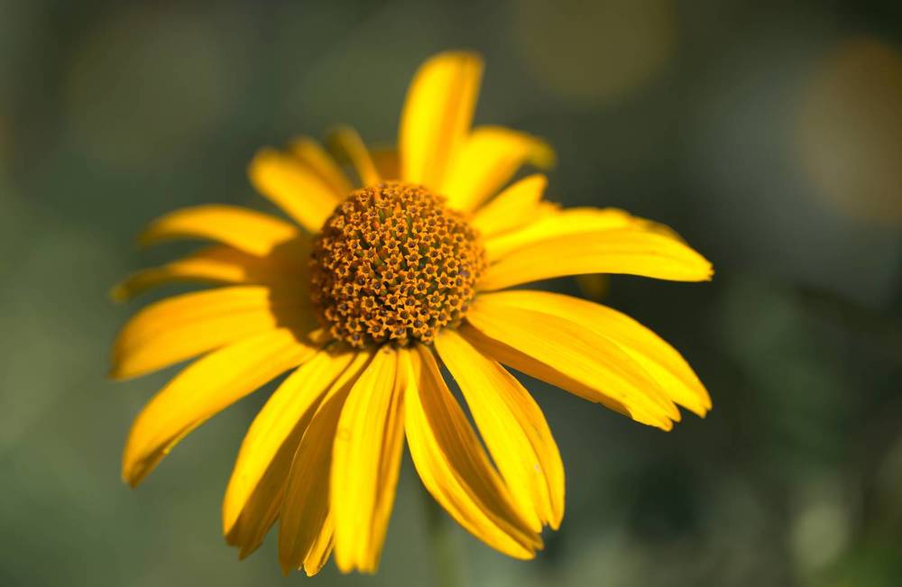 Photograph by Касьянова Ольга