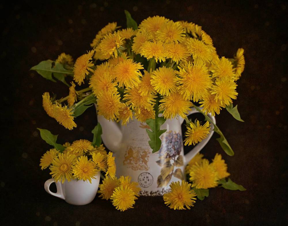 Photograph by Inna Ivanova