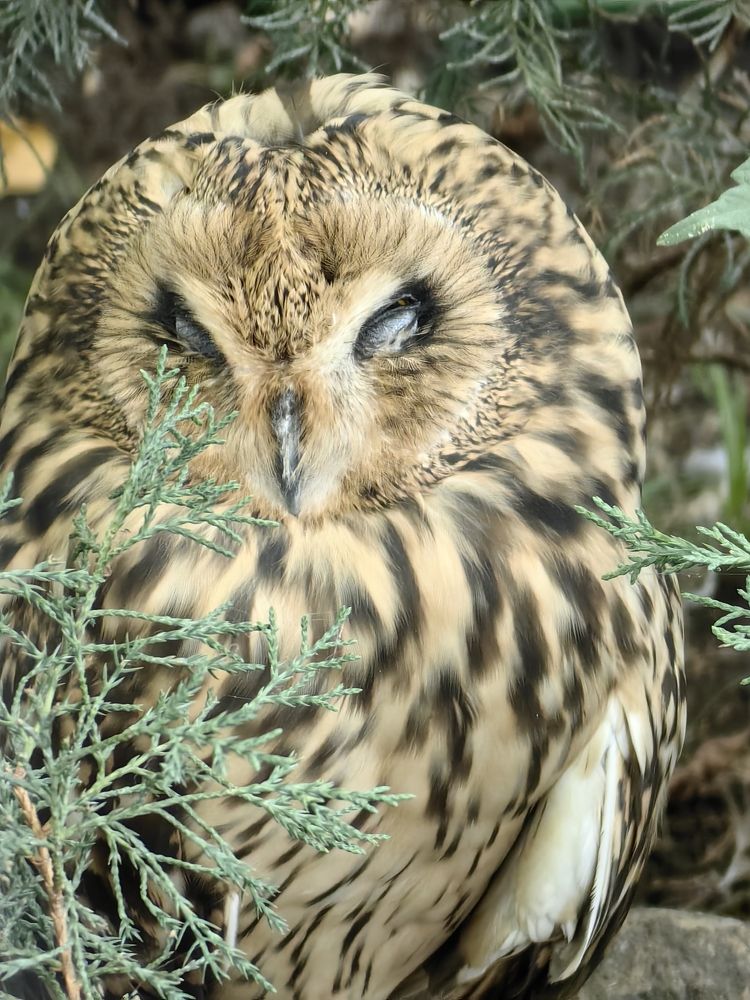 Photograph by Юлиан Щукин