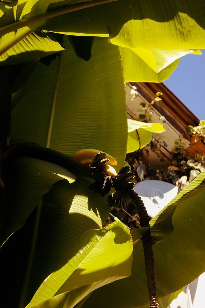 Фотография автора Анастасия Горбунова