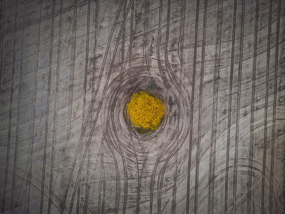 Photograph by Konstantin Martynov