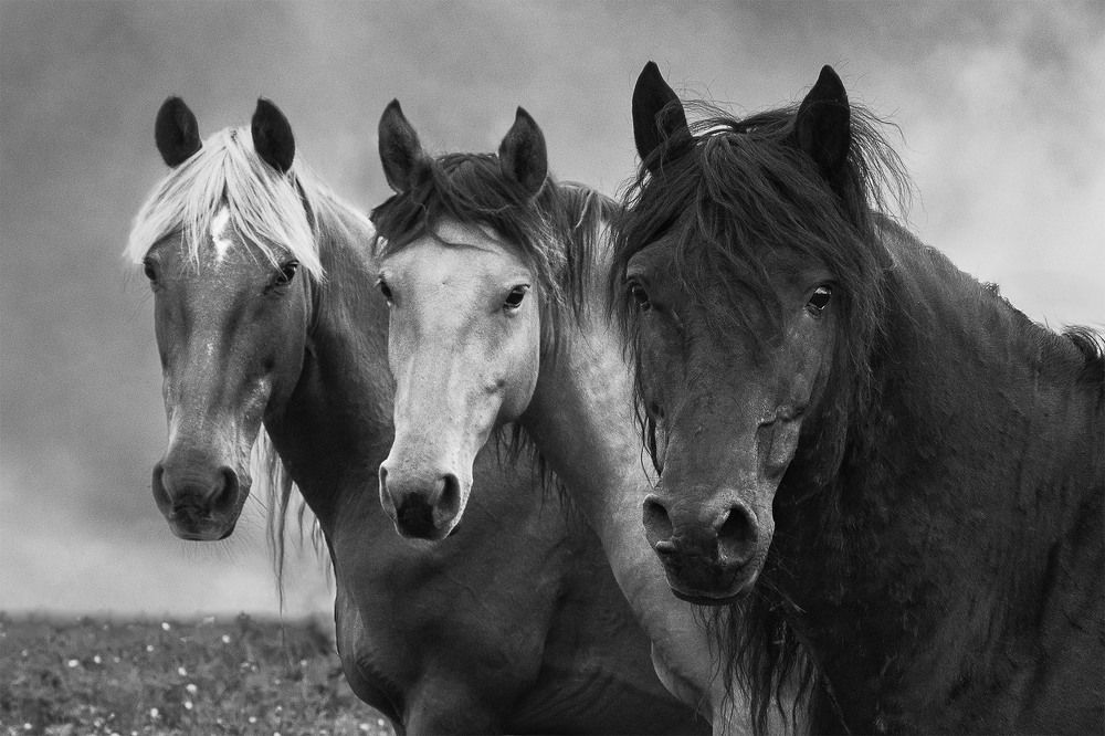 Photograph by Руднев Юрий