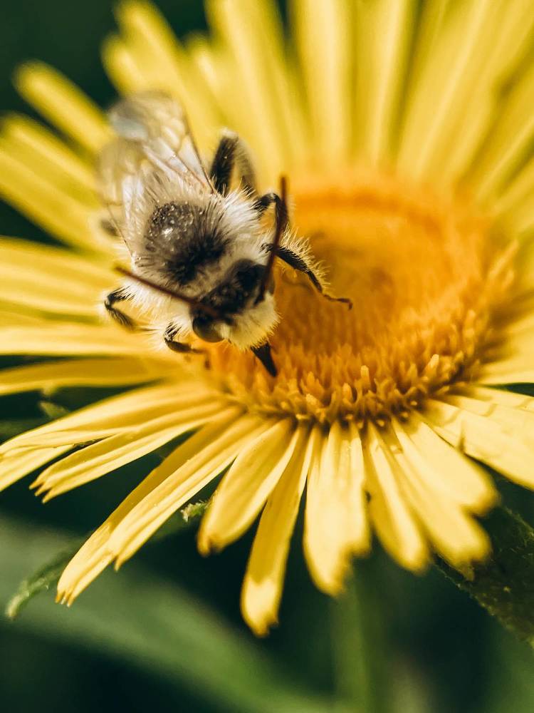 Photograph by Екатерина