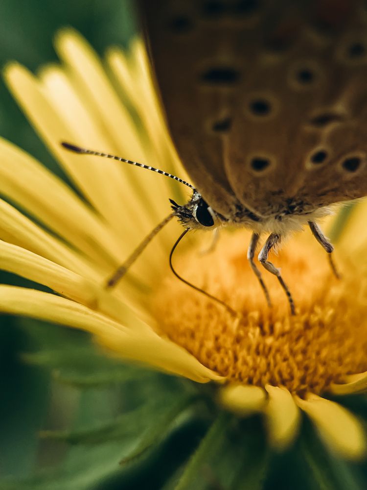 Photograph by Екатерина