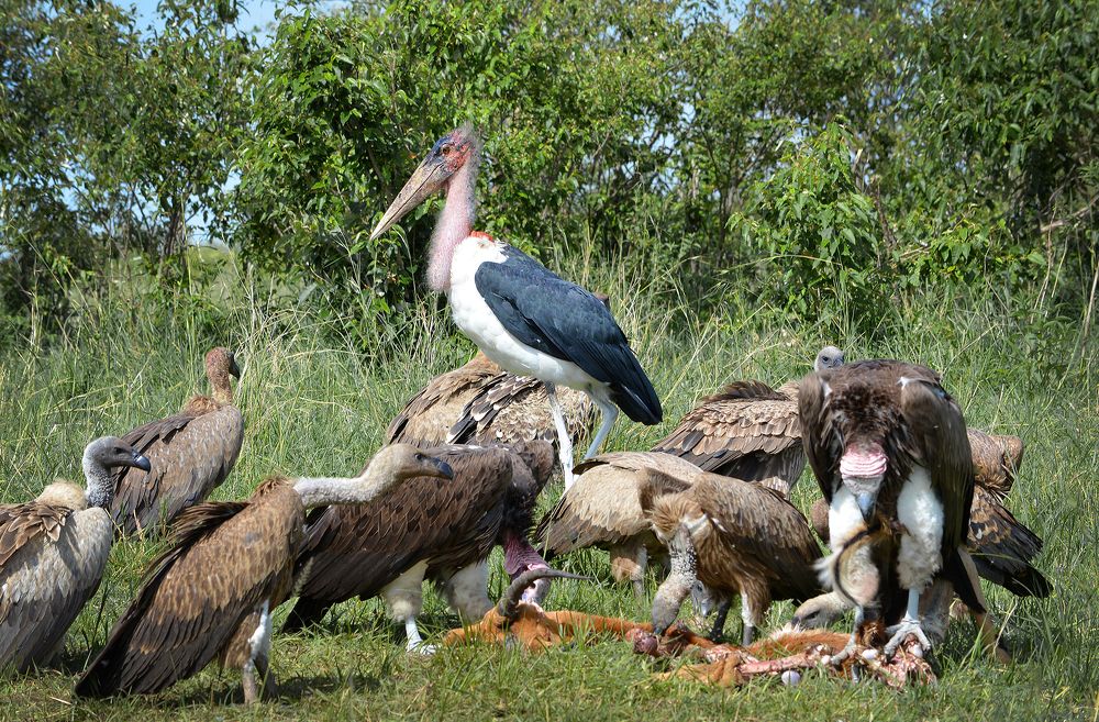 Photograph by Inna Ivanova