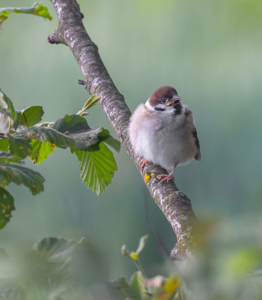 Photograph by Екатерина Козлова