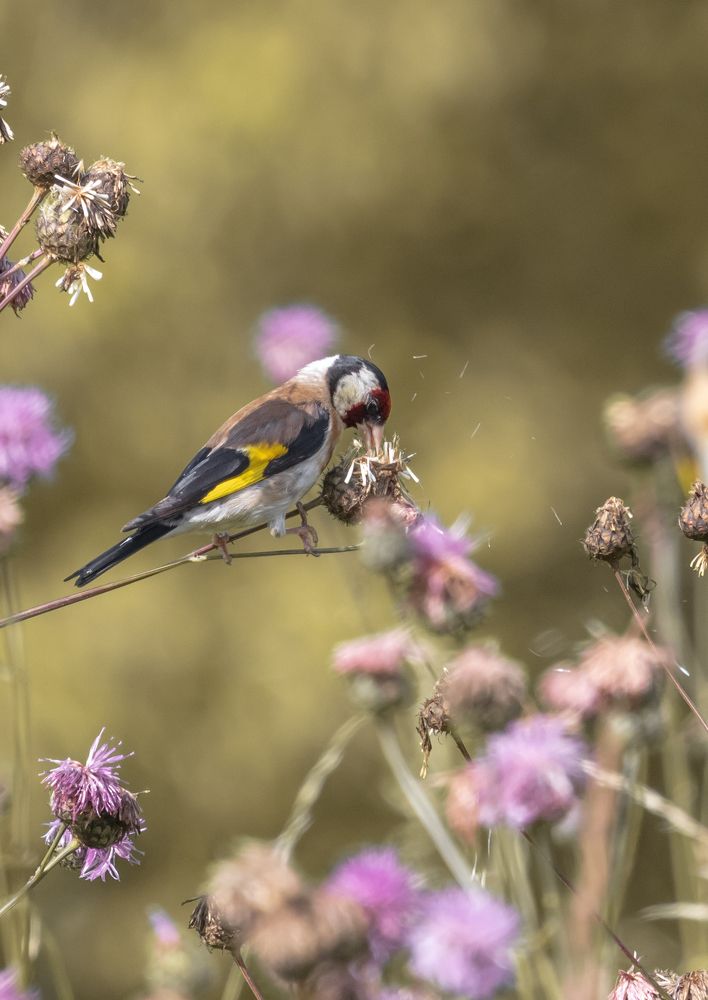 Photograph by Екатерина Козлова