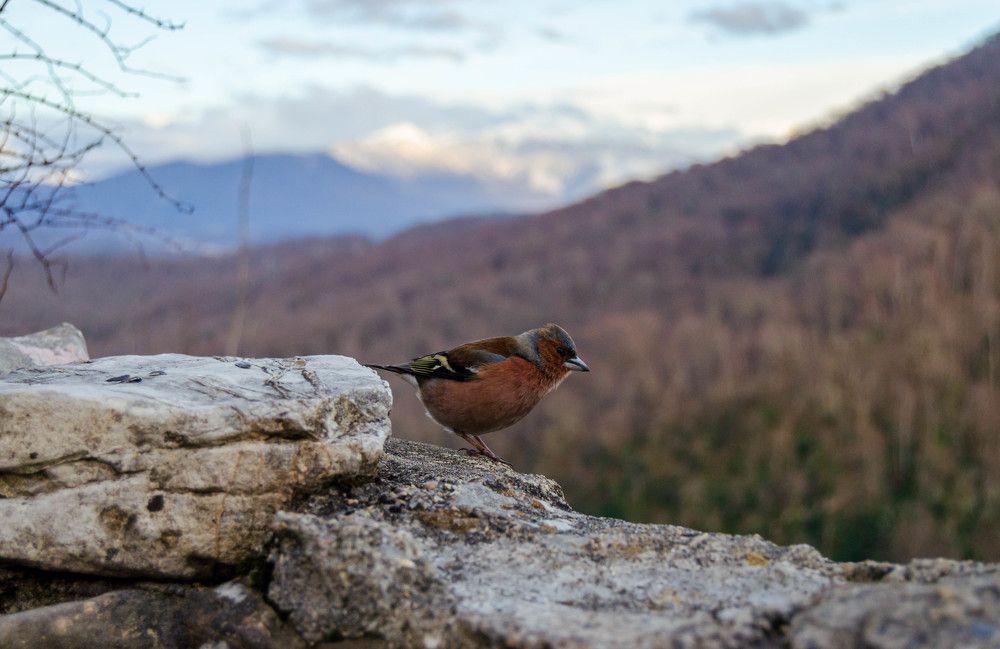 Photograph by Виктория Валерьевна