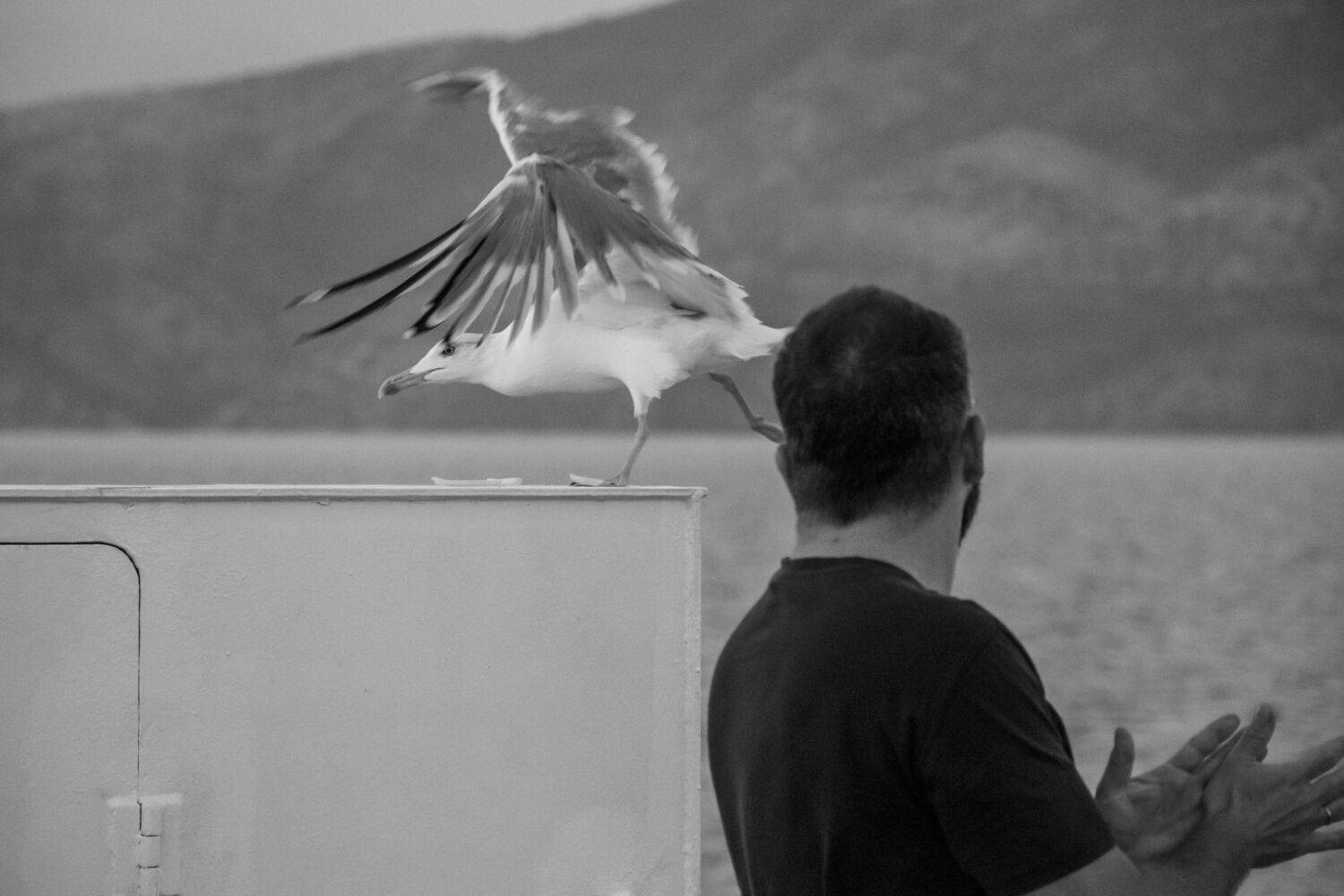 Фотография #11117714