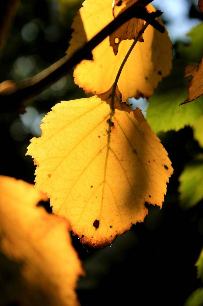 Photograph by Руслан Гордиенко