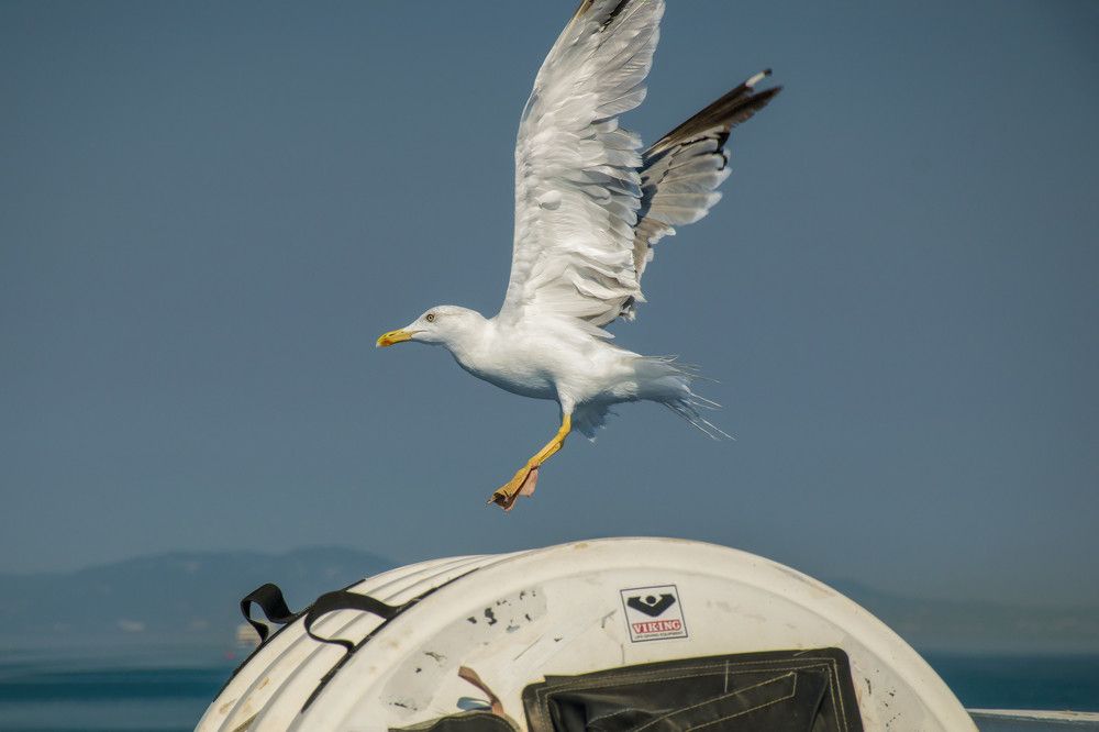 Фотография автора Alexandros Melidis
