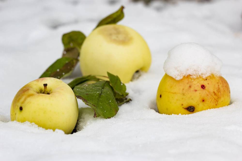 Photograph by Артур Павловский